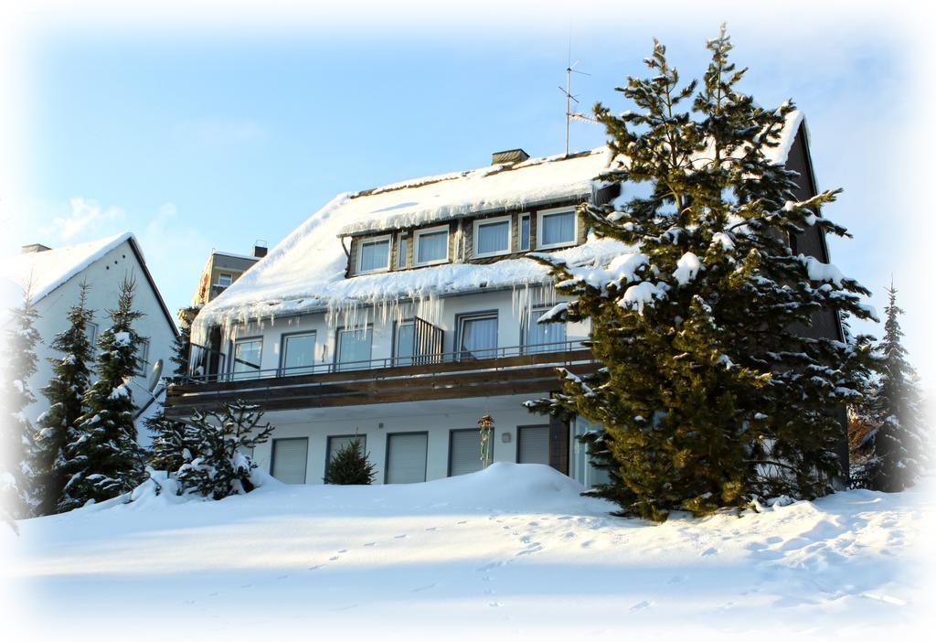 Wietheger'S Gaestehaus Centrum Виллинген Номер фото